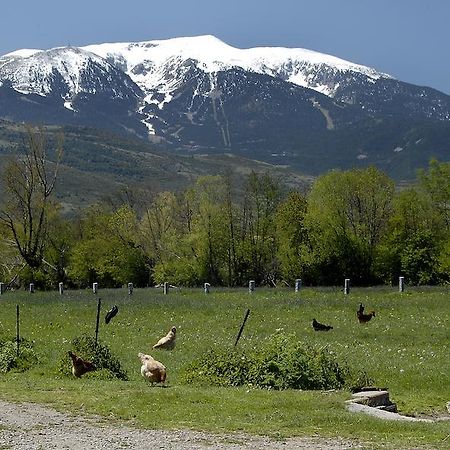 Mas Mallol Puigcerdà Eksteriør billede
