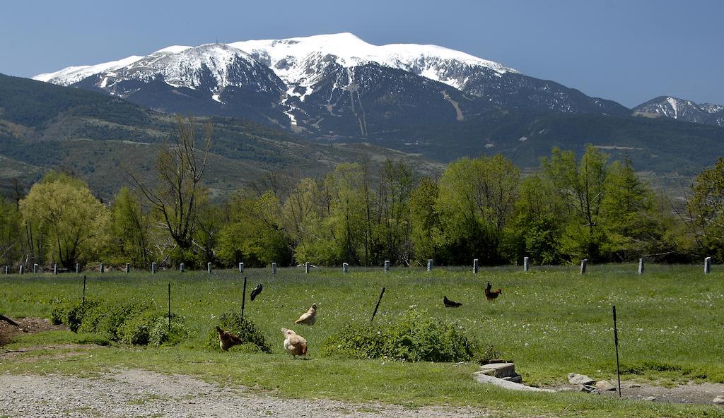 Mas Mallol Puigcerdà Eksteriør billede